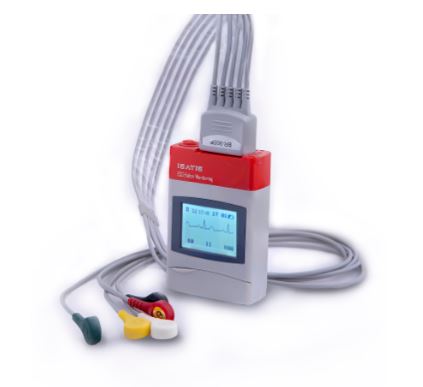 هولتر مانیتورینگ قلبی مدل ISATIS